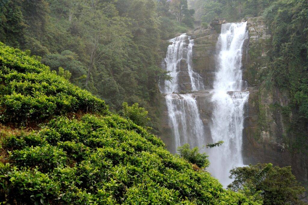 Shimla Waterfall