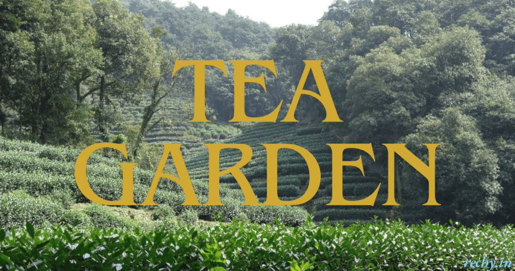 Places to Visit Near Dharamshala