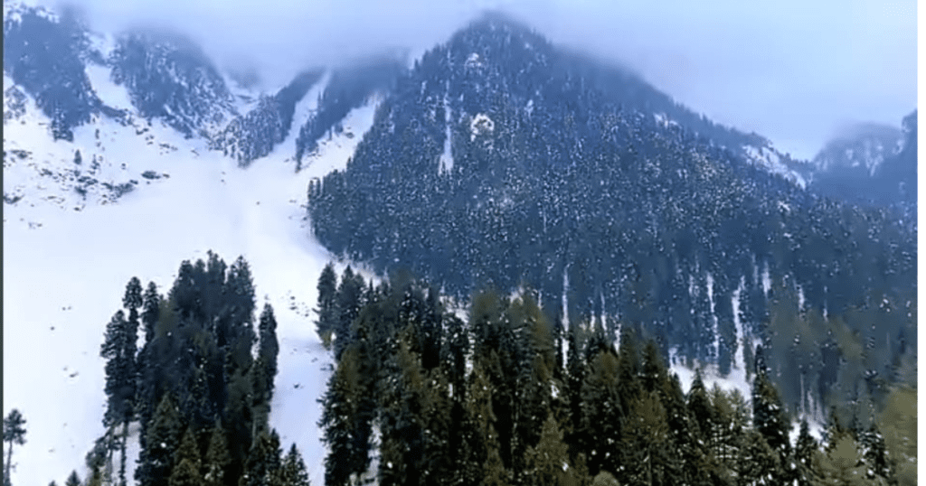 Best Time To Visit Kashmir In Winter