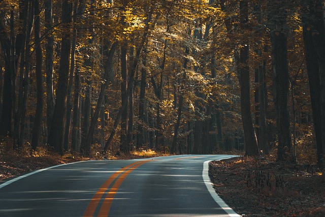Delhi to Auli Distance