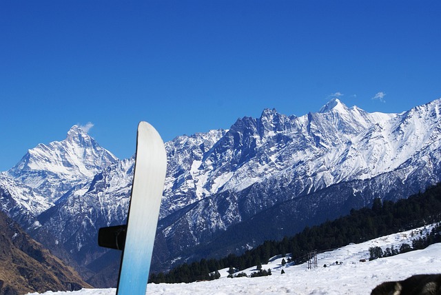 Delhi to Auli Distance